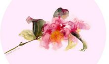 生死的友情的感悟的句子