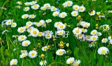 早安想你问候短信