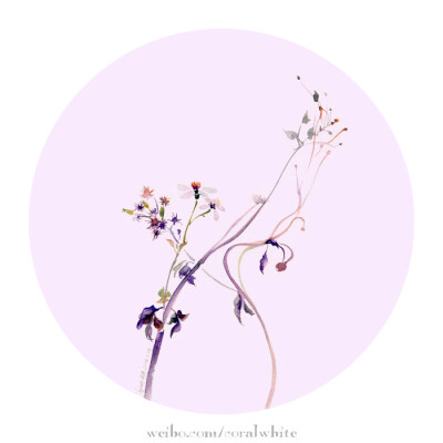 两个男人和一个女人的友谊句子1