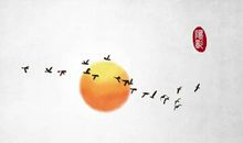 友情是相知的句子