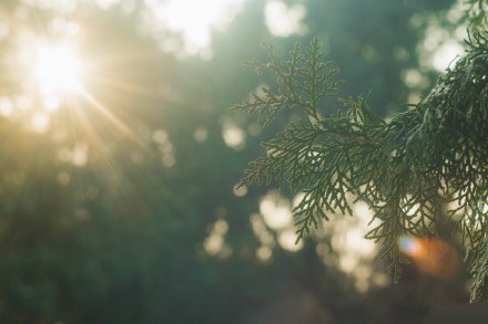 15，温度下降，怕你冻结，我谋杀了棉质夹克过夜，用友谊，思考，爱，祝福线，真诚地做针，缝制的爱情温度。我会寄给你通过短信，我希望你穿上这件棉质夹克，我不能感到寒冷，漫步寒冷的冬天。