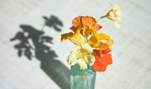 天气短信问候语搞笑