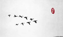 战友情深的优好句子