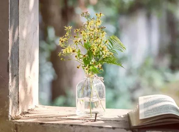 15.我的心脏,早上的阳光,为你的心带来幸福,让你加入我,随着一天的幸福,祝你好久不到!