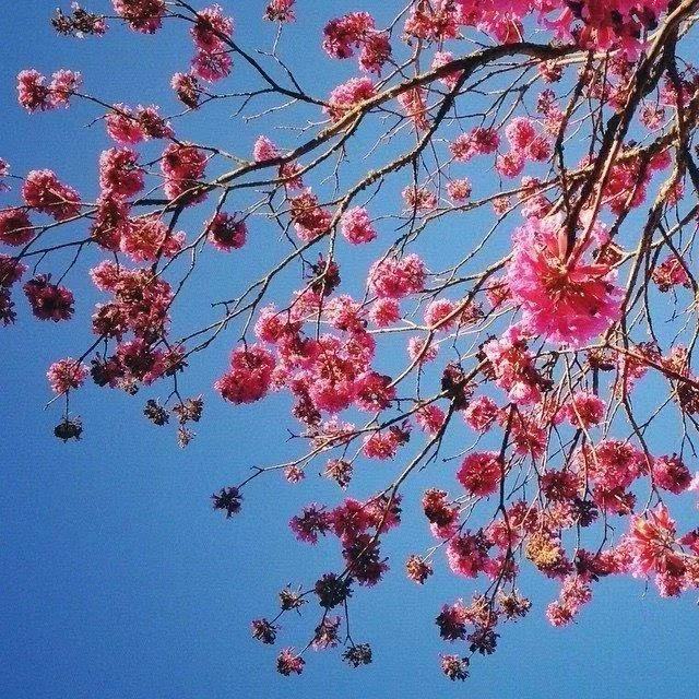 MLM 4句子Slogan Daquan 1