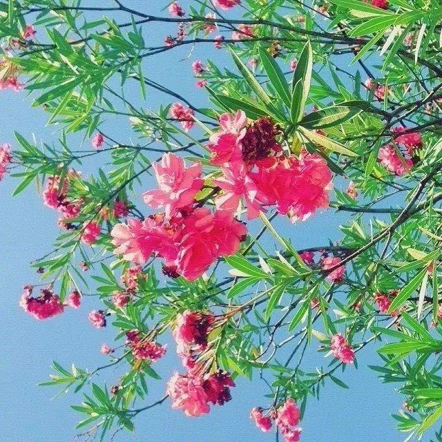 15，珍惜家庭，远离金字塔方案。