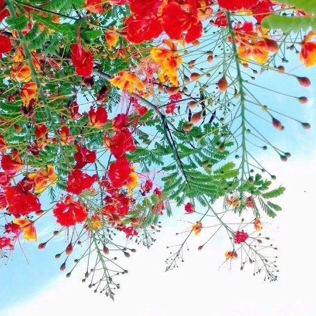 第七组口号有趣1