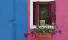 餐饮店过年给会员发问候短信