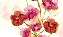 外国写友情的句子