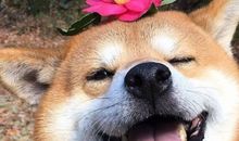 沙雕有趣的搞笑群名