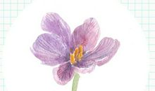 表示不到时光尽头友情不散的句子