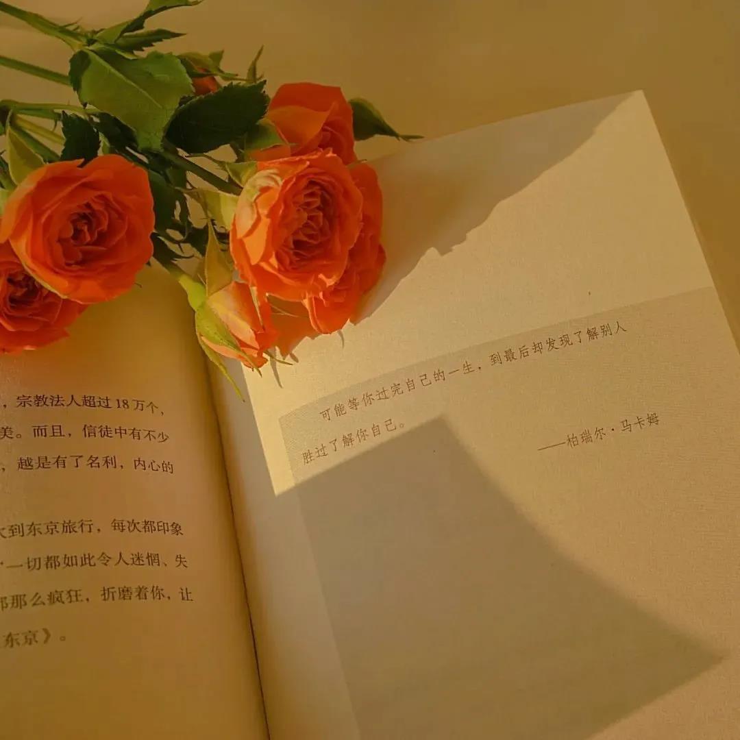 29,30岁的河东，三十年的河西，莫欺骗了穷人的穷国蚕土豆“打天空”