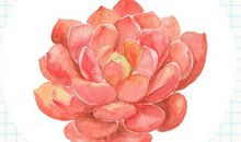 之谈友情不谈感情的句子