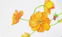 关于友谊友情的古诗句子