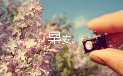 积极的能量简单，早期，心脏语言1