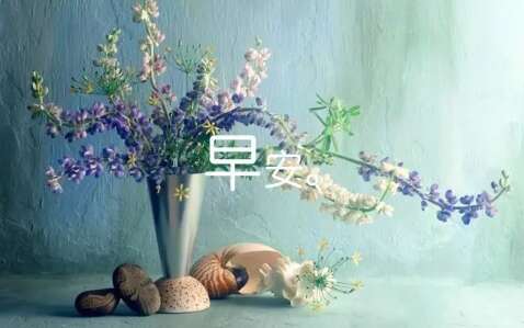 正能量简洁的早晨