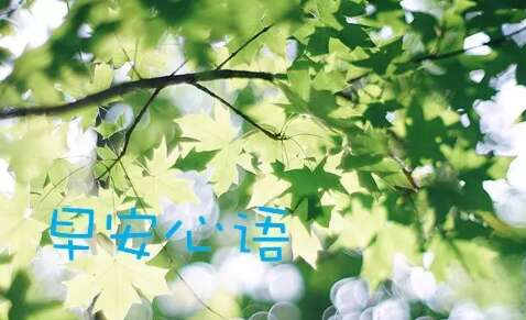 15.如果延迟延迟后，您可以做任何事情。早上好。