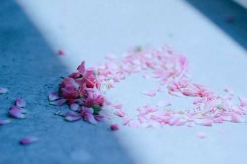 向客户提供给客户的信息