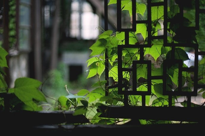 很长一段时间，你没有来到客户短信问候。