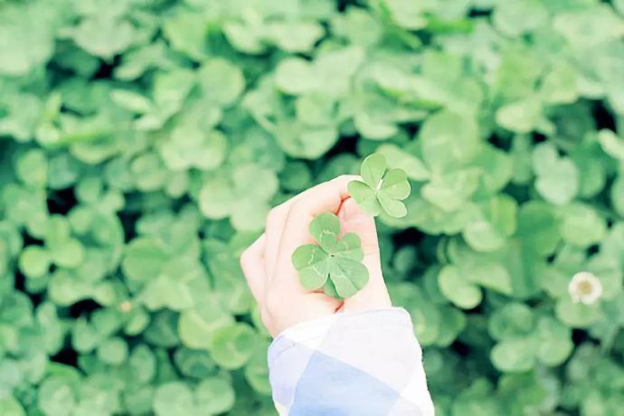 很长一段时间，你不来客户。