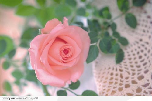 15，2020我戒烟，寂寞，总是和你在一起，别人是甜蜜的，我的情人是什么时候？ 2020我停止酒精，幸福不长，独自在空中，思考我的妻子，你努力工作，2021，我会等你回家，开心一起！