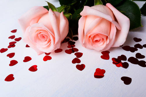 发送到句子1句子1