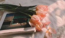 愿一切平安的短句