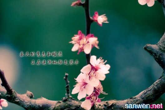 春天谈论这句话