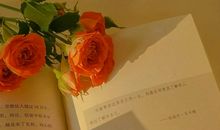 干净温柔治愈的文案句子