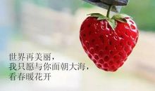 冬天的告白情话