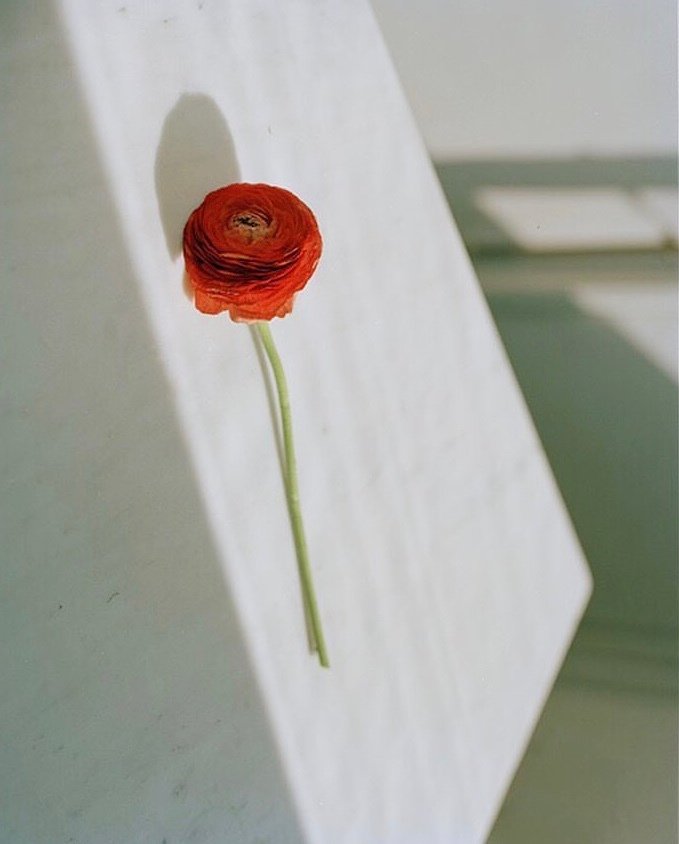 以下是一个小针织的问候信息，欢迎阅读和分享！