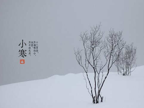 小燕,早上好,问候1