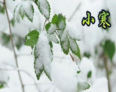 小燕,早上好,说