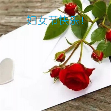 最新3月8日妇女节谈论经典大全1