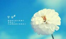 2020最后适合发朋友圈的句子