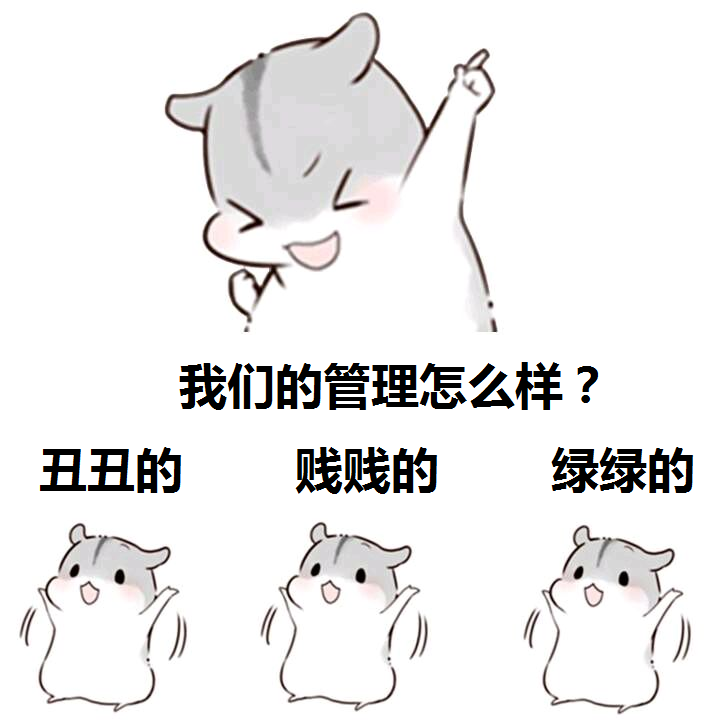 15,团队名称:奇迹,团队口号:不要等待奇迹,因为奇迹正在等待我们创造