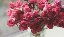 情人节祝福语送男友