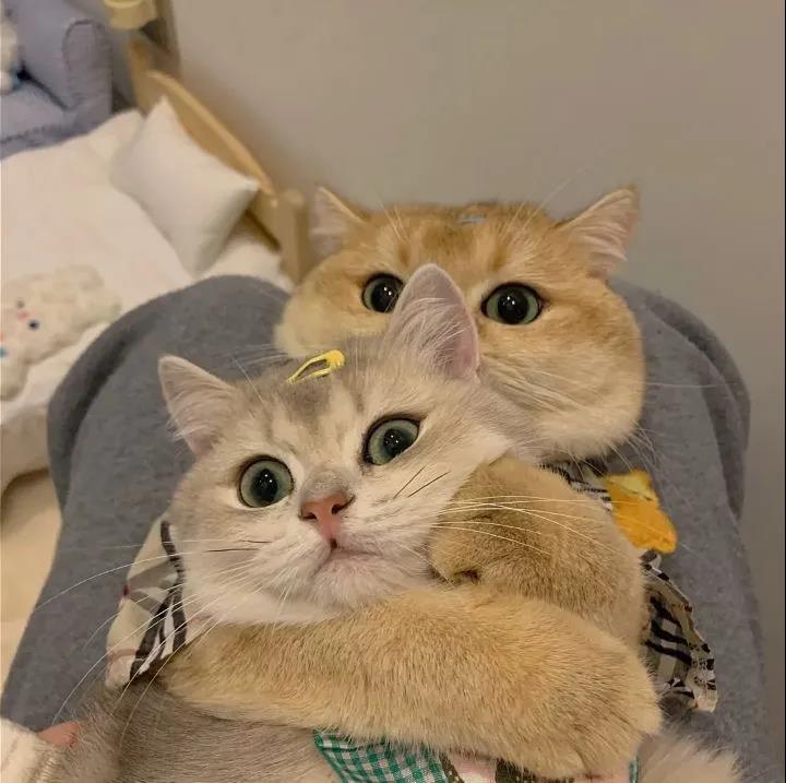 40,雨是一生,雨是乐趣和悲伤。