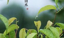 雨水节气祝福语图片唯美