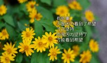 年轻多吃苦的励志句子