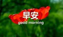 发朋友圈好文字说说