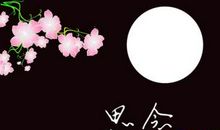 能表达思念爱慕的语录