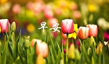 朋友圈个性优美句子