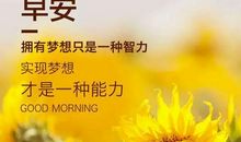 朋友圈每日经典句子2020