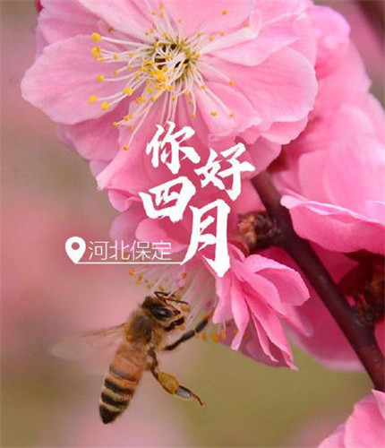 2021你好3月微信美学句子