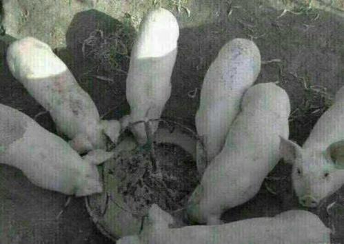 我两天没吃过。