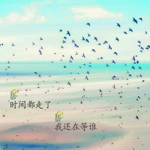 感谢您的支持和鼓励。