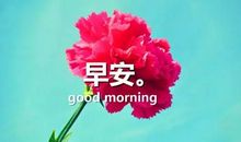 早安暖心话短句正能量的句子