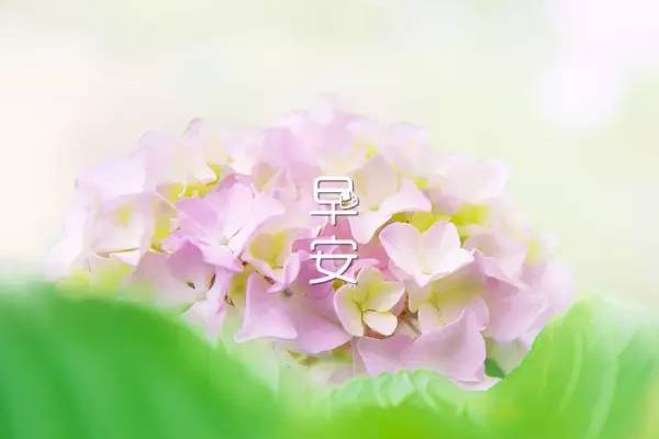 24.不要害怕单人，怎么样，你可以哭，但你不能。不要打架，你怎么知道你是一个角色或浪费！早上好！