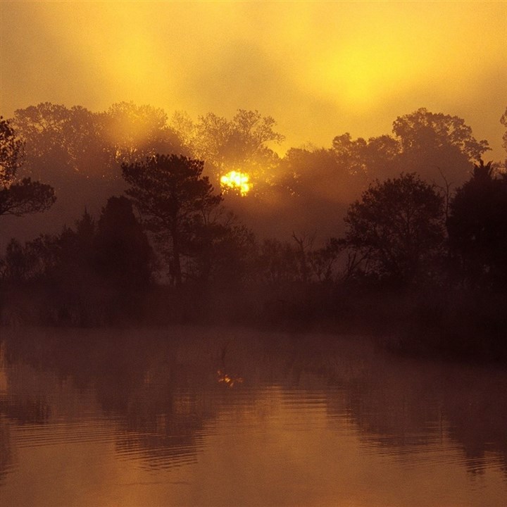 15. WISDOM集团：插上两个翅膀的梦，飞向天堂的智慧！